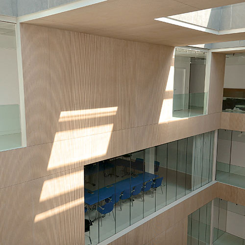 Panneau acoustique bois ab pano 50 en parement mural et plafond d'une mutuelle